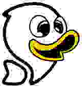 鸭先知