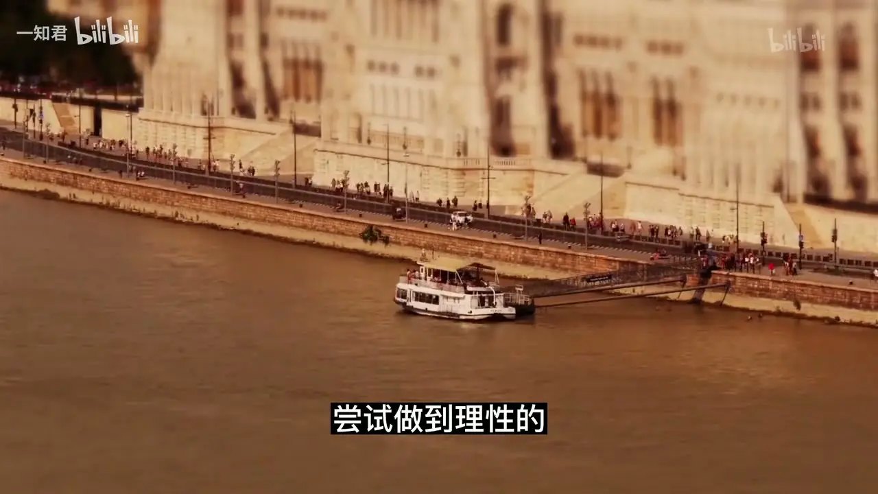 视频画面：多瑙河畔，字幕“尝试做到理性的”